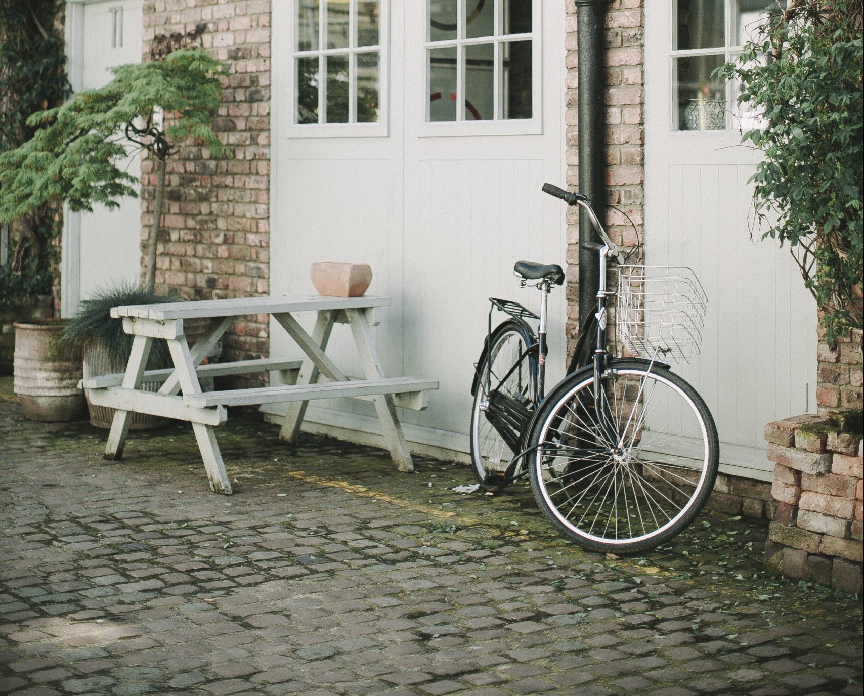 pexels-lina-kivaka-3639542